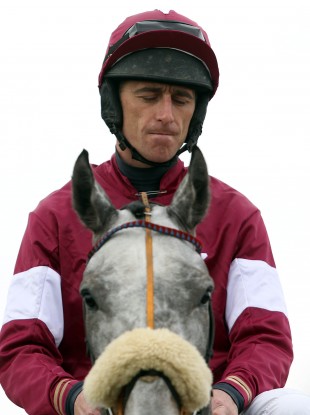 Russell at the Punchestown Festival in April