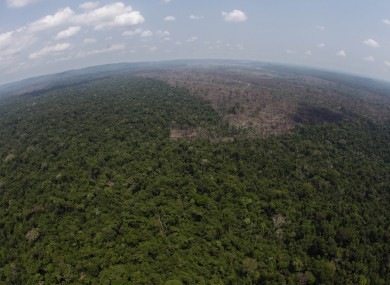 A deforested area is seen near Novo Progresso in the northern state of Para on Brazil. (File photo)