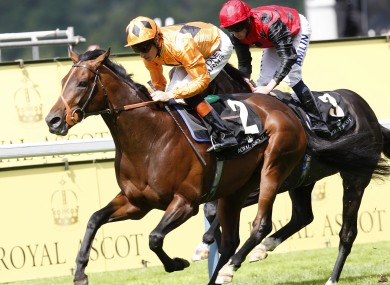 Canford Cliffs ridden by Richard Hughes (near) leads the field from Dick Turpin ridden by Ryan Moore on his way to winning last year's St James's Palace Stakes at Royal Ascot.