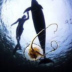 Dancing with dolphins.
The series has been two years in production, with one full year spent filming in the deep seas and shallow reefs of Ireland.