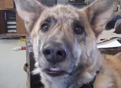The unlikely star of Ireland's most-watched YouTube video of 2011...