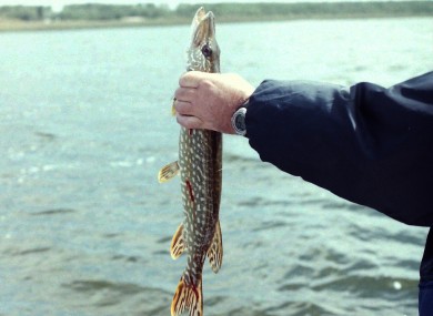 It's not known whether the ambassador caught any fish