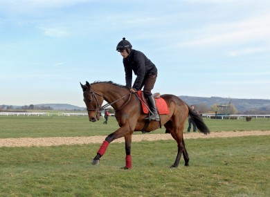Ruby Walsh takes Hurricane Fly for a trot before last year's Champion Hurdle at Cheltenham (file photo).
