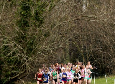 A shot from yesterday's Leinster Schools Cross Country Championships.