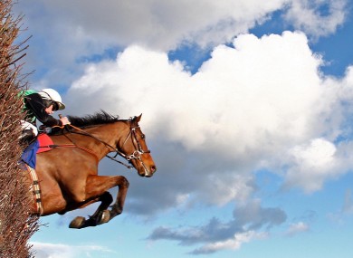 Puddencullinan, ridden by OBP Carroll, jumps a fence at Leopardstown yesterday.