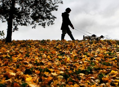 More time to walk the dogs? The Professional Unemployed is often at a loss when they lose their job after a lifetime of working.