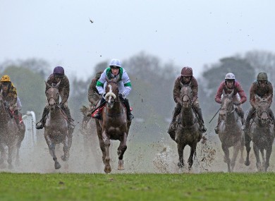The runners and riders in the final race of the day, The At the Races Flat Race yesterday.