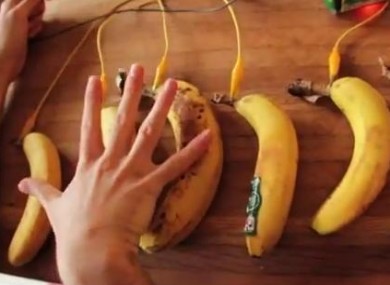 Play the piano with bananas as keys