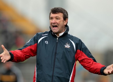 Back In Action: Jimmy Barry-Murphy is filling the Cork senior hurling hotseat once more.