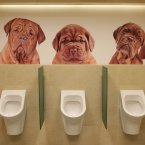 A new men's toilet in Warsaw, which got a face lift for Euro 2012. (AP Photo/Czarek Sokolowski)