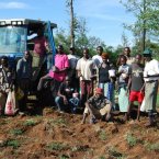 More shamba work