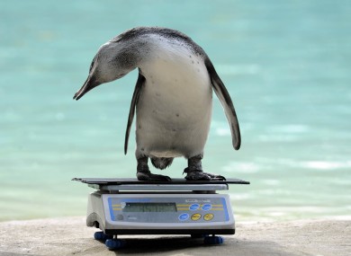 Does my bum look big in this?