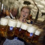 The Bavarian 