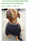 Why does Chris Henry's top fit that pup so snugly? How tight is it?