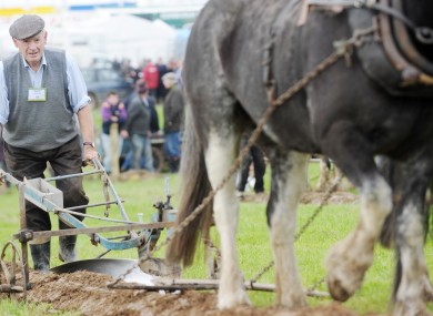 81-year-old Edward Dowse at the National Ploughing Championships in Wexford during the week