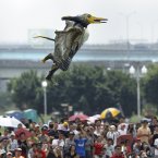 A participant dressed in a bird costume takes flight during the 2012 Taiwan Birdman competition in New Taipei City, Taiwan. (AP Photo/Wally Santana)