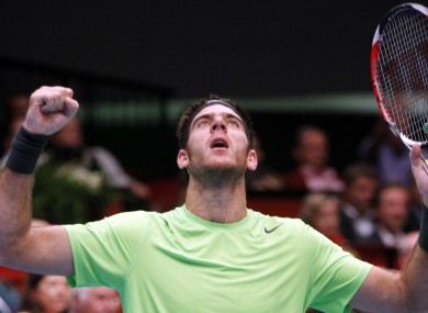 Juan Martin del Potro is hitting form as the season winds down.