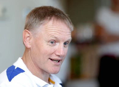 Leinster coach Joe Schmidt has a raft of injury concerns going into a Heineken Cup weekend.