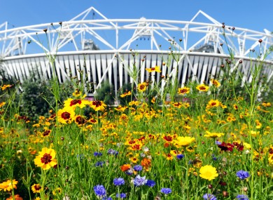 London's Olympic Stadium.