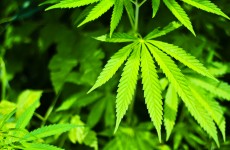 Five men due in court over Cork drugs seizure
