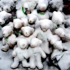 Snow-covered stuffed animals with photos attached sit at a memorial in Newtown, Conn. People continue to visit memorials after gunman Adam Lanza walked into Sandy Hook Elementary School in Newtown, Friday, Dec. 14, and opened fire, killing 26, including 20 children, before killing himself. (AP Photo/Craig Ruttle)