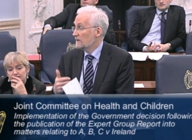 Dr Anthony McCarthy from the College of Psychiatry giving evidence in the Seanad chamber today