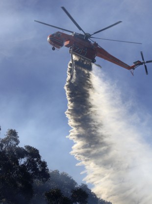 A helicopter drops water onto a smoldering fire in the Lane Cove National Park in Sydney