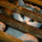(Photo by Li Xiaohan/ChinaFotoPress)