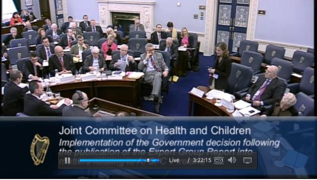 Seanad committee