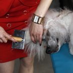 This reminds us of getting ready for school on a cold December morning. (AP Photo/Petr David Josek)