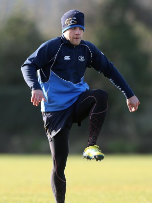 Ian Madigan, may not have the number 10 shirt all to himself next year.